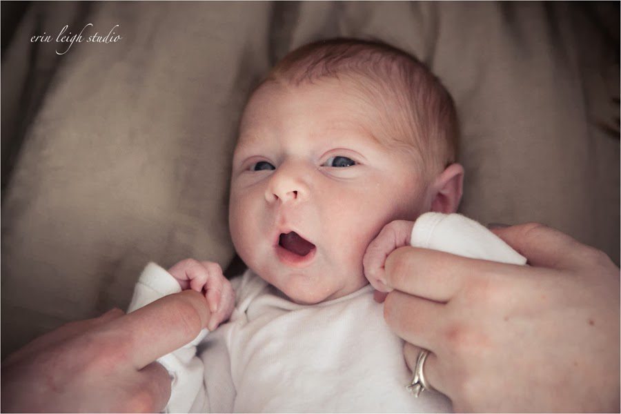 newborn photos olathe, ks