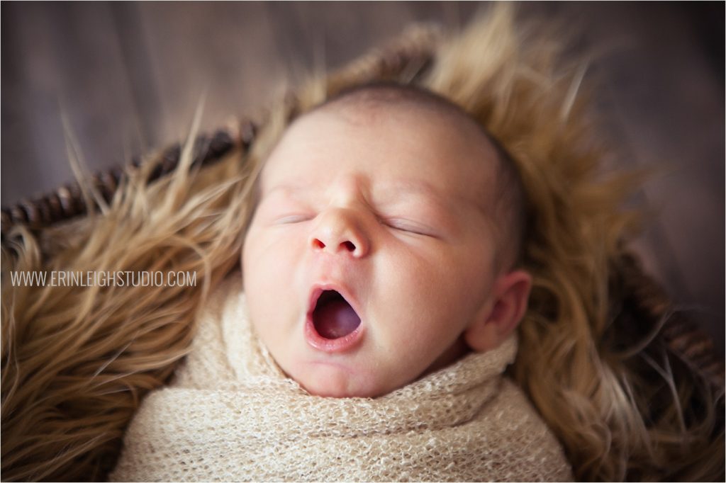 Olathe Lifestyle & Posed Newborn Photography