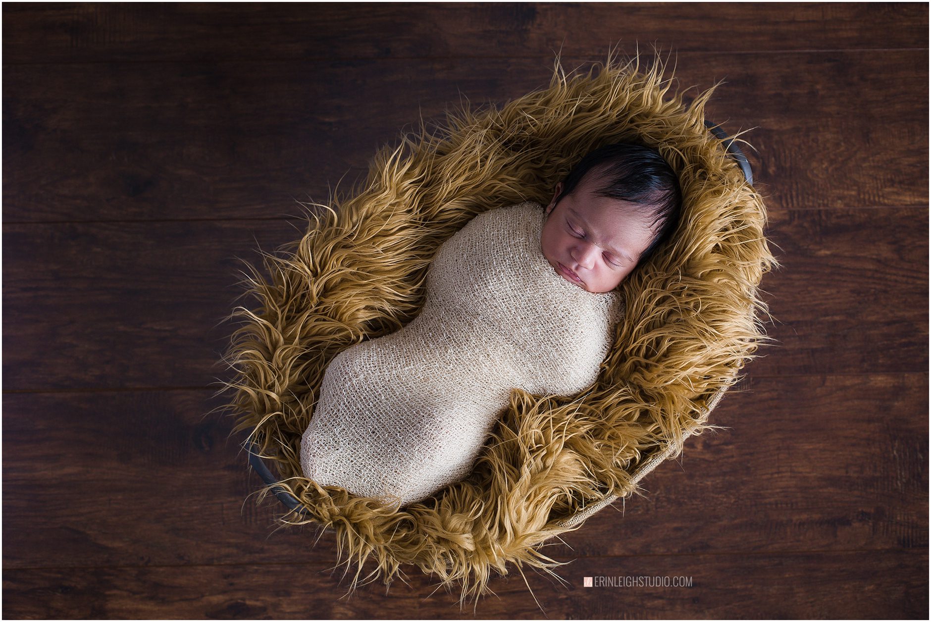 kansas city ks newborn photographer