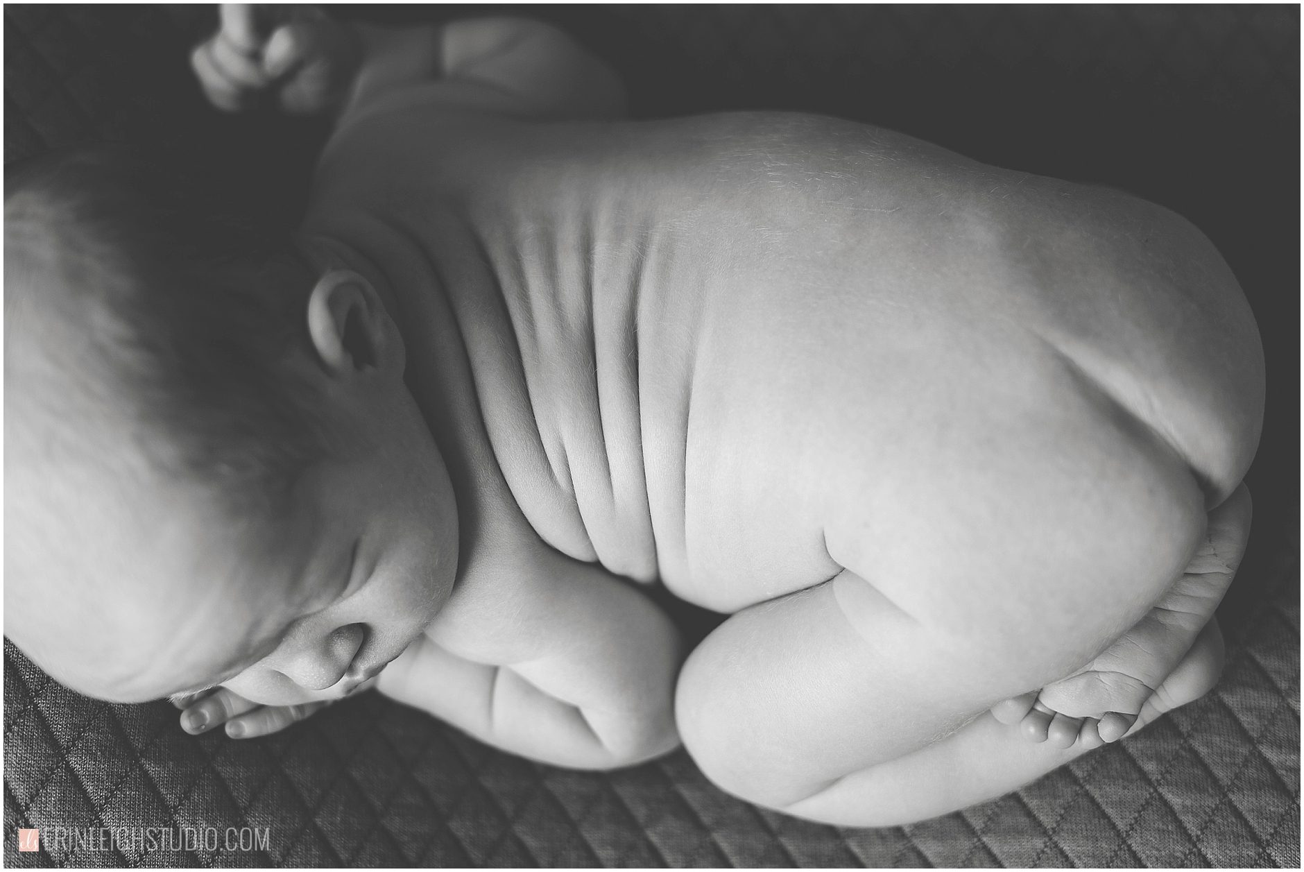 Best Newborn Photographer Kansas City