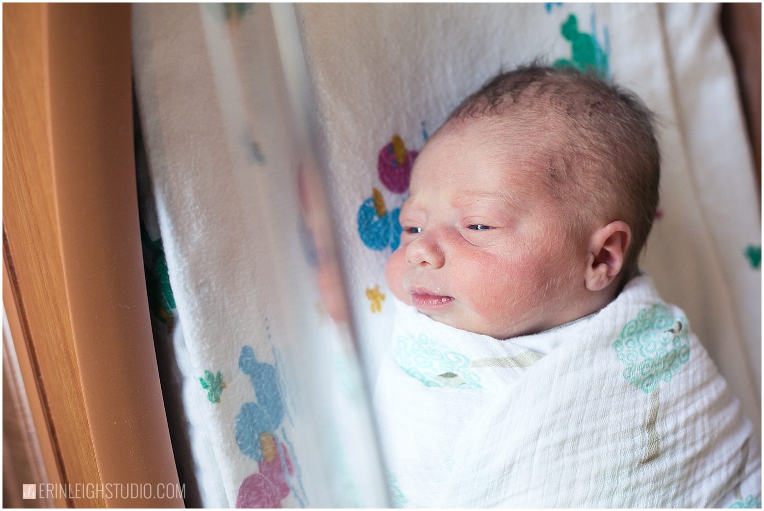 Overland Park Newborn Photographer