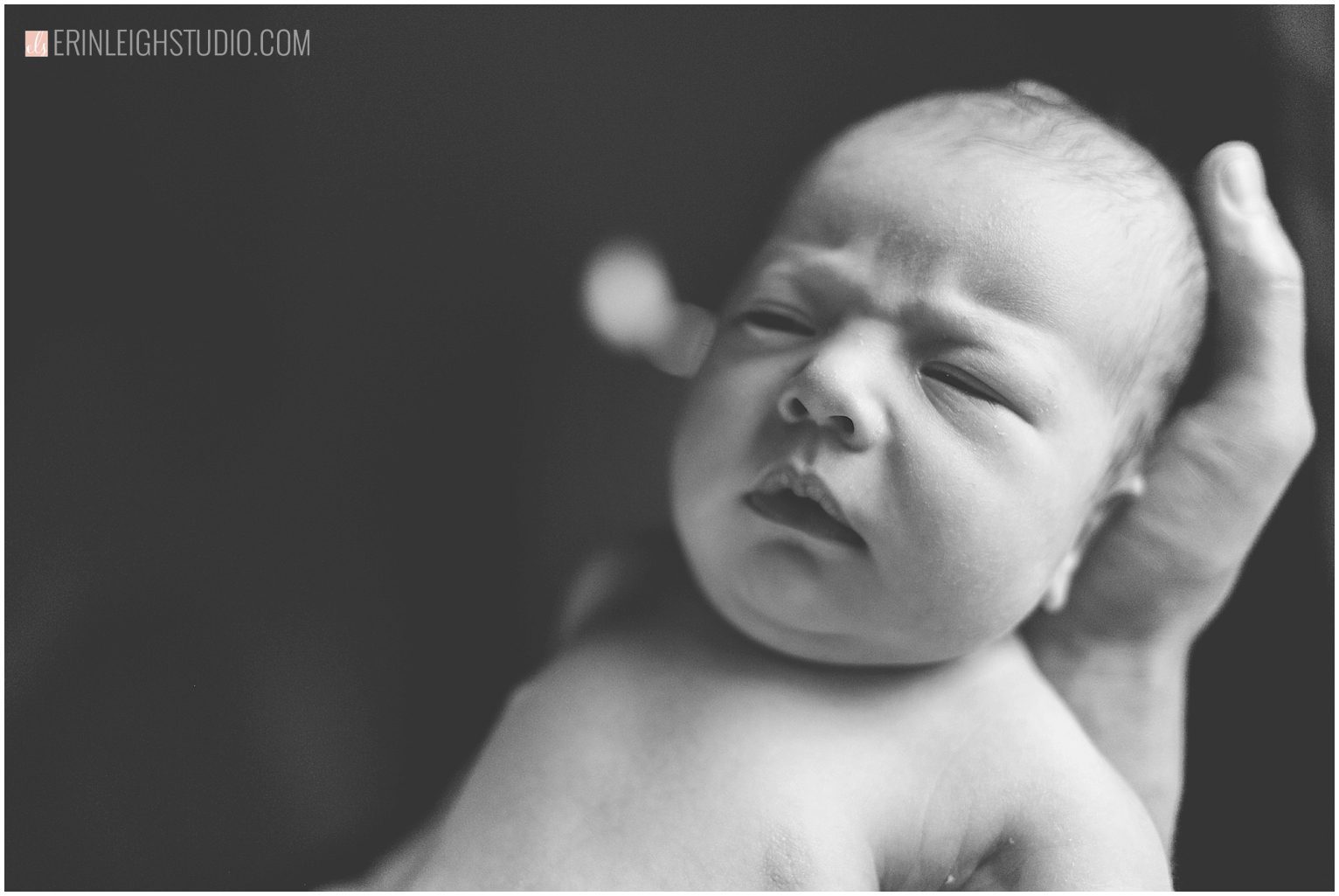 Kansas City's Best Newborn Photographer