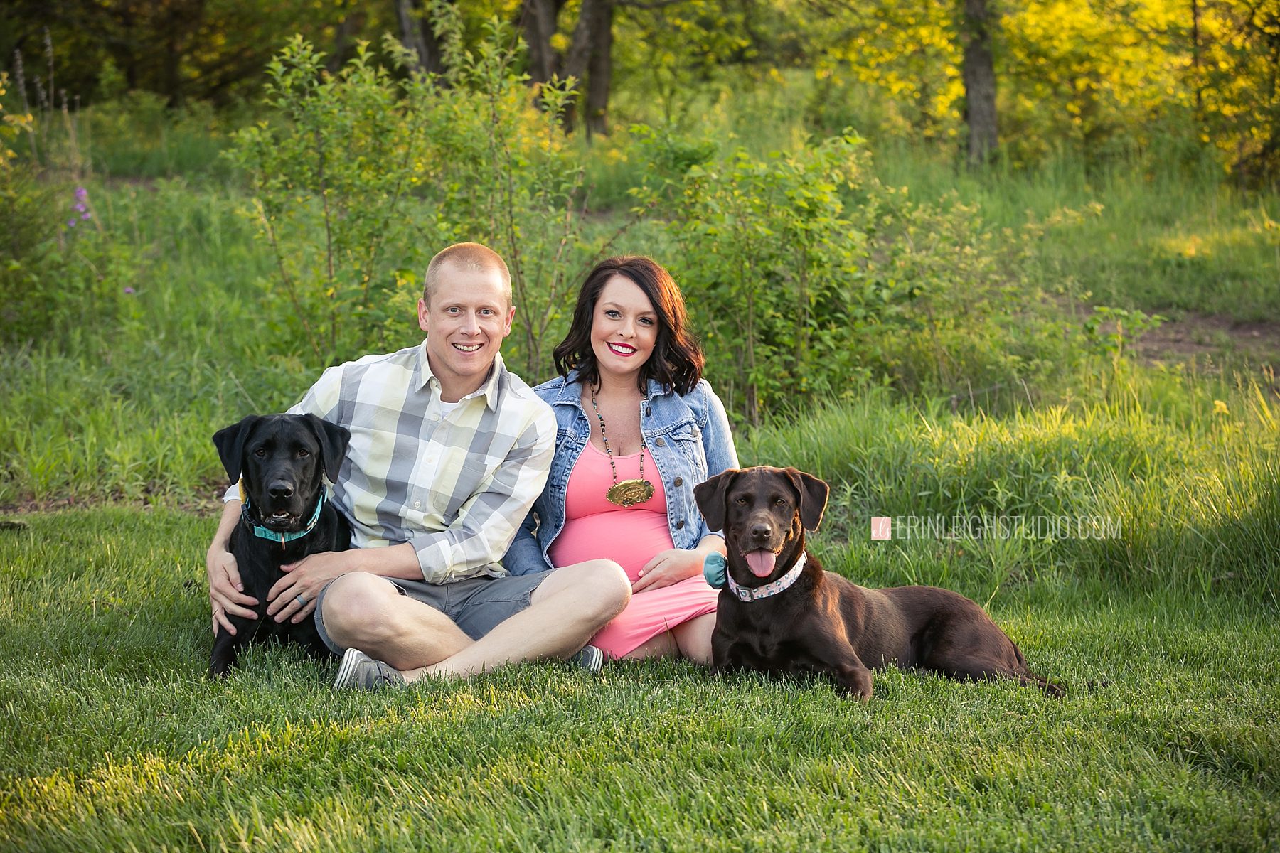 Maternity photos with dogs