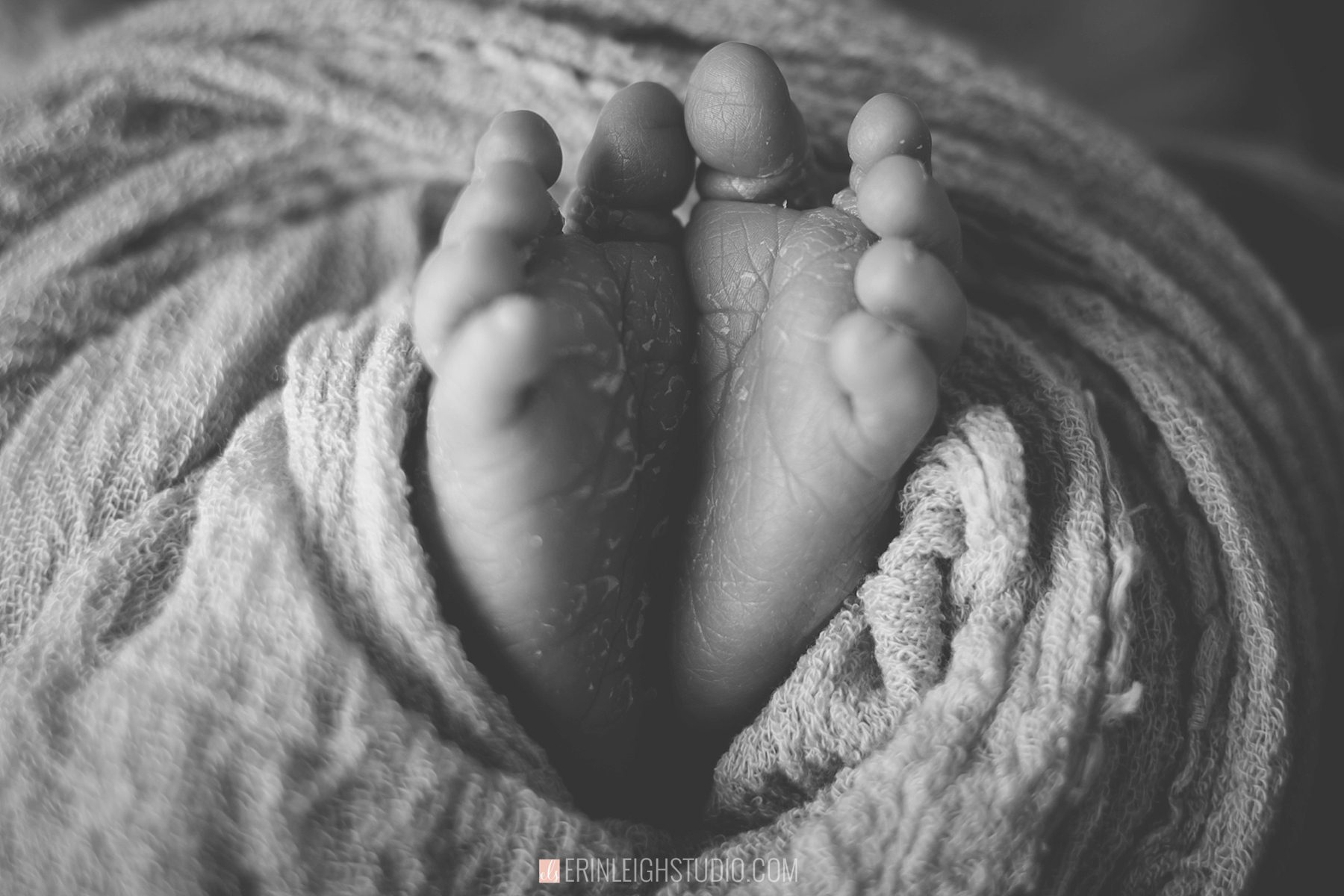 Lenexa Newborn Photography