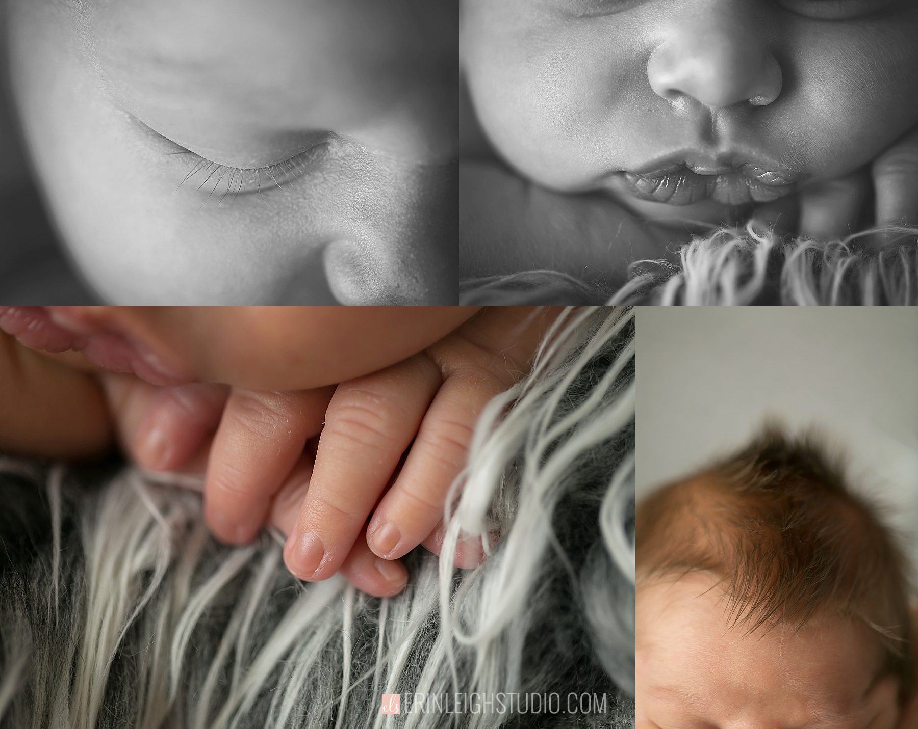 Olathe KS Studio Newborn Photos
